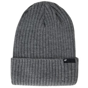 4F ACAPM673 Winter Hat - Men's