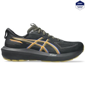 Asics GT-1000 14 GTX Running Shoes - Men's