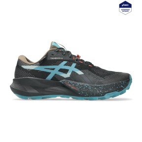 Asics Trabuco 14 GTX Trail Running Shoes - Men's