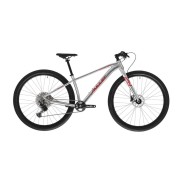 Amulet Youngster 1.11 SH 29'' Bike, alu brushed transparent/red