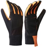 Bjorn Daehlie Raw 2.0 Gloves | XC-skiing