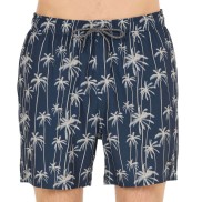 Cruz Rohan Swim Shorts - Men's