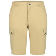 Icepeak Anzio Outdoor Shorts - Men's