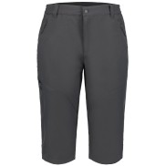Icepeak Ballard Hiking Trousers - Men's