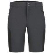 Icepeak Batavia Outdoor Shorts - Men's