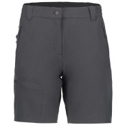 Icepeak Beaufort Outdoor Shorts - Women's
