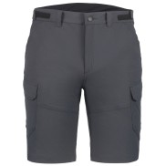Icepeak Braswell Casual Shorts - Men's