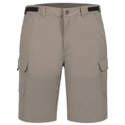 Icepeak Braswell Casual Shorts - Men's