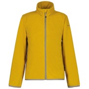 Icepeak Kobuk Jr Fleece Jacket - Boys