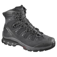 Salomon Quest 4D 3 GTX Men's Shoes, Grey