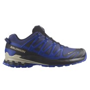Salomon XA Pro 3D V9 Men's GTX, Blue Print/Surf