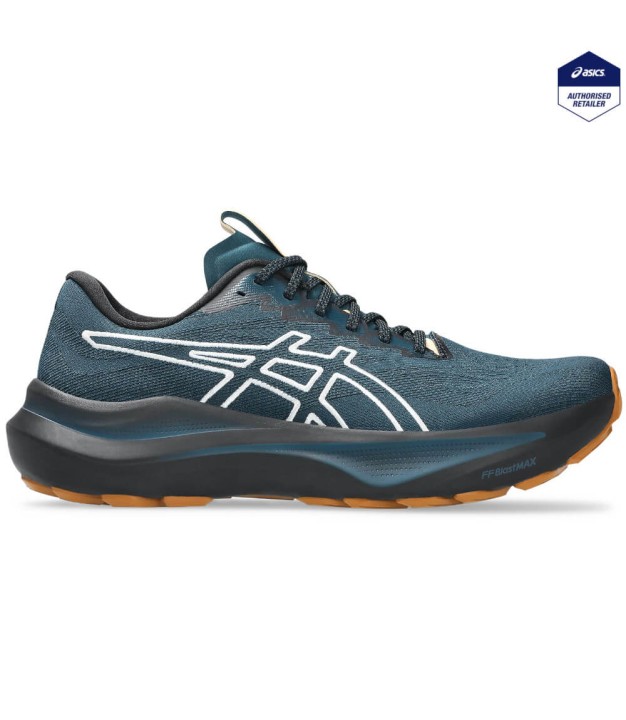 Asics GT-2000 14 TR Trail Running Shoes - Men's
