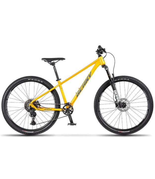Beany Blaster 26" Kids Bike