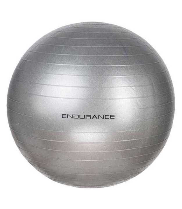 Endurance Training Ball 75 CM, Silver