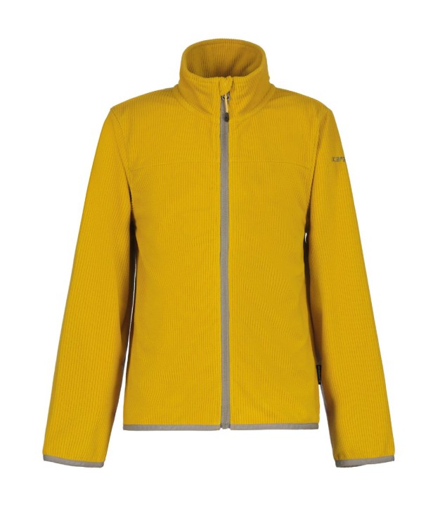 Icepeak Kobuk Jr Fleece Jacket - Boys