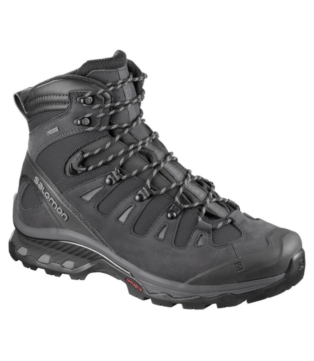 Salomon Quest 4D 3 GTX Men's Shoes, Grey