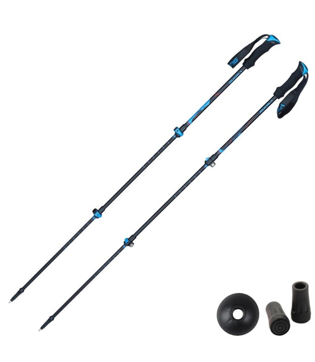 Viking Lost Peak Trekking Poles